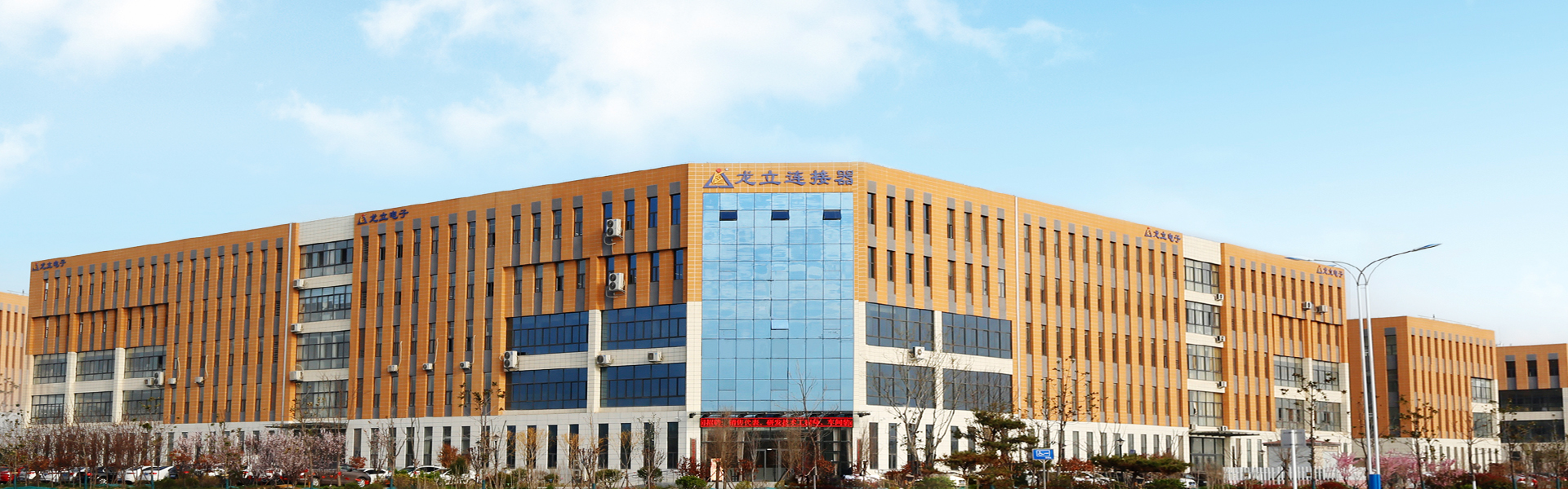 龍立電子順利通過制造業(yè)單項冠軍企業(yè)復核，續(xù)寫行業(yè)輝煌篇章